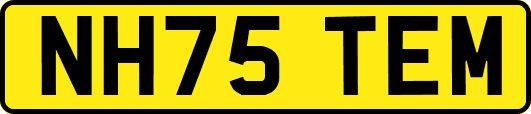 NH75TEM
