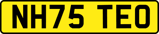 NH75TEO