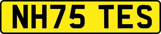 NH75TES