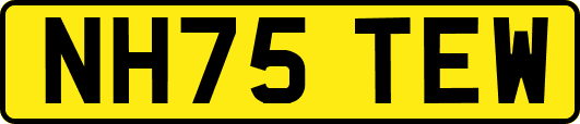 NH75TEW