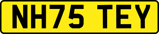 NH75TEY
