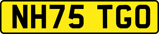 NH75TGO