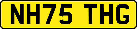 NH75THG
