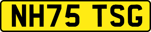 NH75TSG