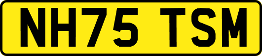 NH75TSM