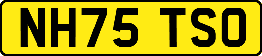 NH75TSO