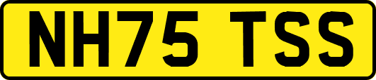 NH75TSS