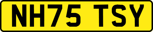 NH75TSY