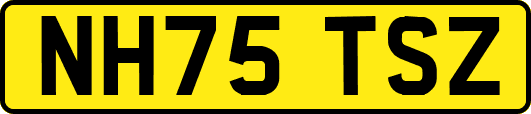NH75TSZ