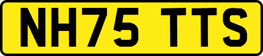 NH75TTS