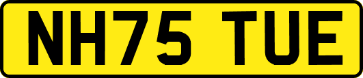 NH75TUE