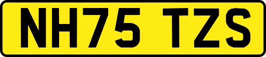 NH75TZS