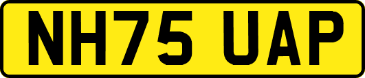 NH75UAP