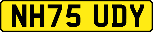 NH75UDY