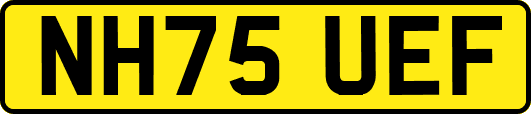 NH75UEF