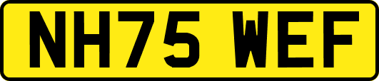 NH75WEF