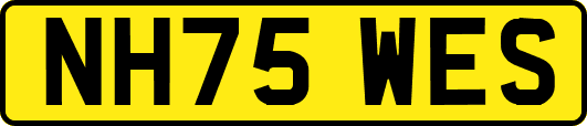 NH75WES