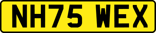 NH75WEX