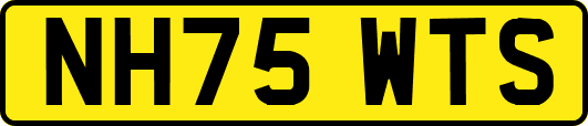 NH75WTS