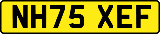 NH75XEF