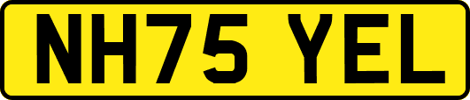 NH75YEL