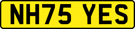 NH75YES