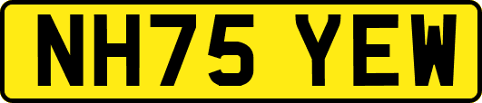 NH75YEW