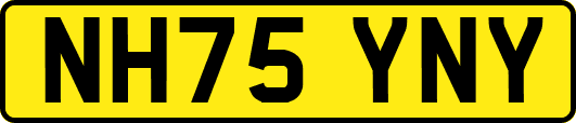 NH75YNY