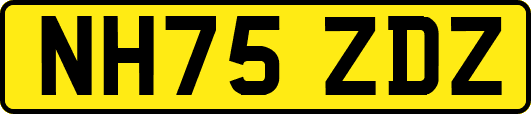 NH75ZDZ