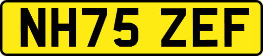 NH75ZEF