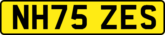 NH75ZES