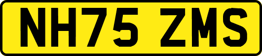 NH75ZMS