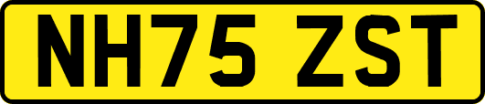 NH75ZST