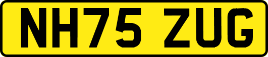 NH75ZUG