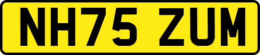 NH75ZUM