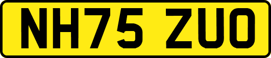 NH75ZUO