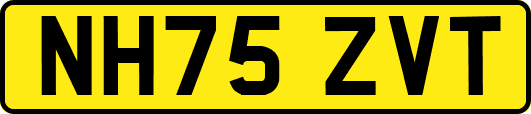 NH75ZVT