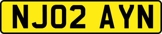 NJ02AYN