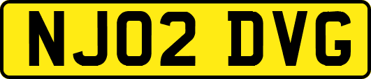 NJ02DVG