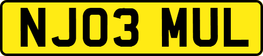 NJ03MUL