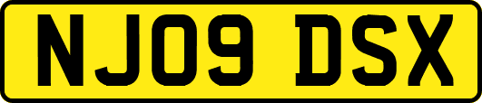 NJ09DSX