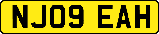 NJ09EAH