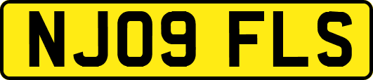 NJ09FLS