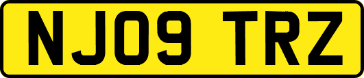 NJ09TRZ