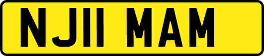 NJ11MAM