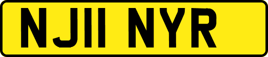 NJ11NYR