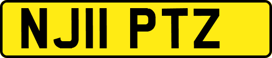 NJ11PTZ