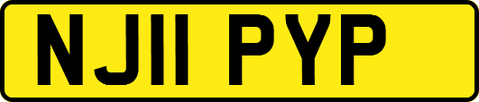 NJ11PYP