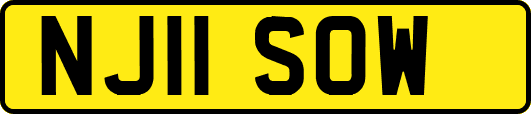 NJ11SOW