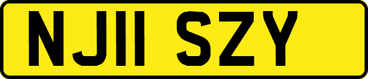 NJ11SZY